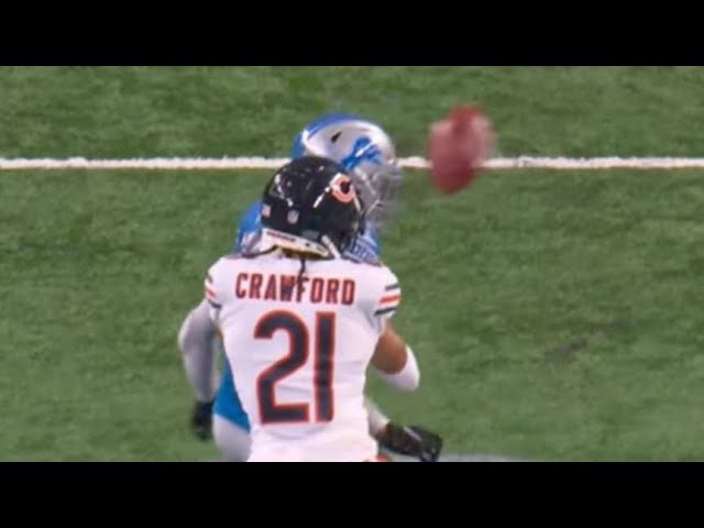 Bears fans got Vietnam flashbacks from this doink