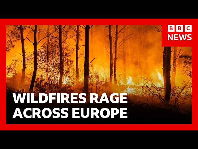 Firefighters battle to contain France and Spain wildfires as thousands evacuated | BBC News