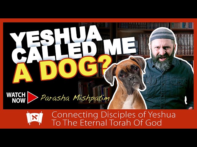 Are Gentiles Really Dogs? | Messianic Commentary on Torah Portion #Mishpatim