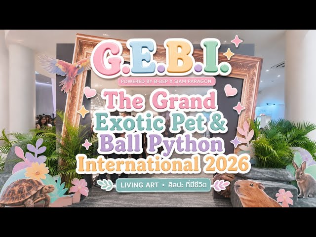 G.E.B.I. The Grand Exotic Pet & Ball Python International 2026