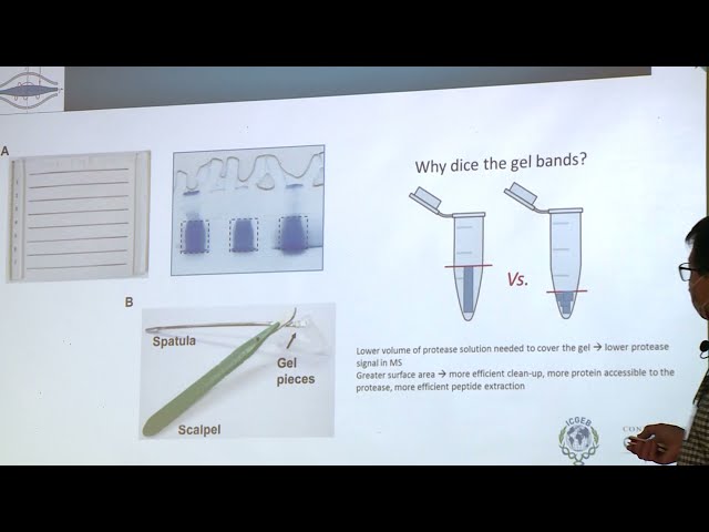 6. Sample preparation in proteomics by Eduardo Ceccarelli