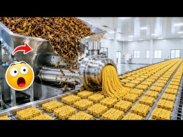 Inside a Factory Turning Millions of Grasshoppers Into Spicy Instant Ramen