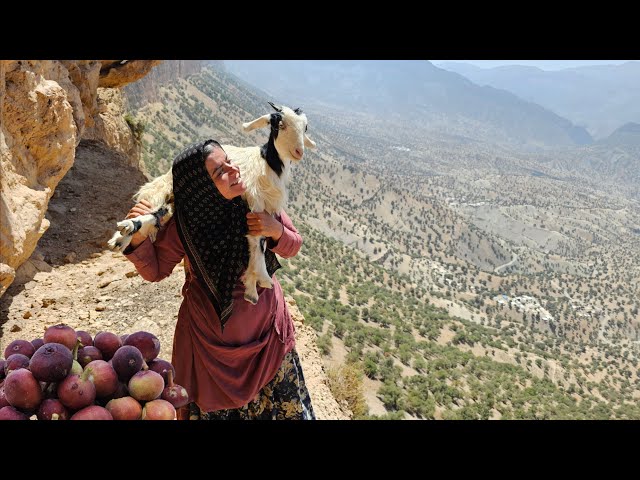 ⛰️🐑 Kulthum's incredible story: from baking bread to rescuing a goat in the mountains 🌄💪