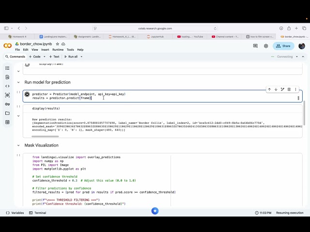 Border Collie vs. Chow Chow Classifier