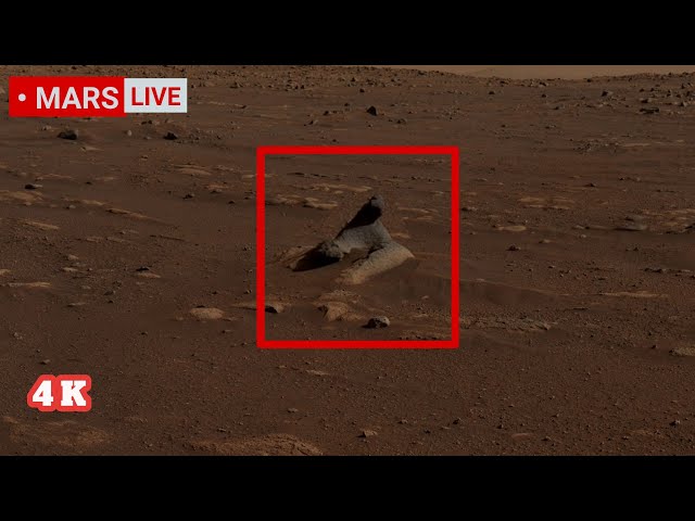 Mars' Perseverance Rover Sent Most Remarkable Footage From Mars Crater! Curiosity' 4K mars 2026