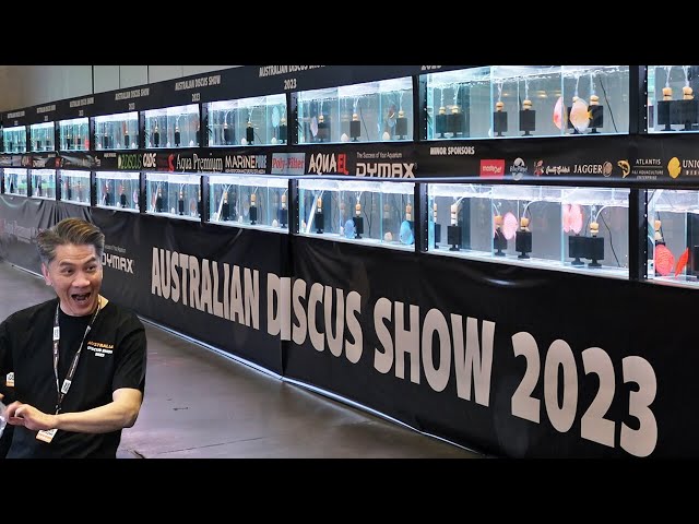 Australian Discus Show 2023: First Discus Show In Australia In 20 Years | 96 Show Discus!