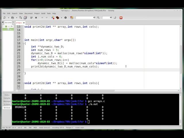 Dynamic Two Dimensional Arrays! C Tutorial 13