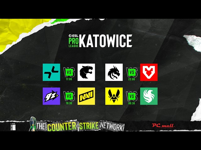 ESL Pro League S24 - Swiss round 3 - MN cast