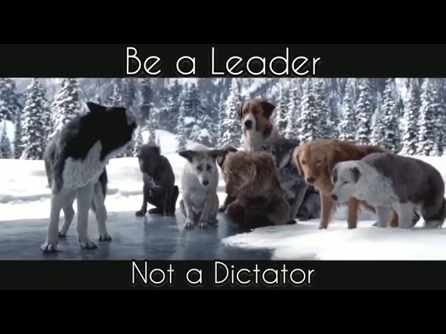 Be a leader | best motivational video status| whatsapp status video|motivational video|be a !wolf