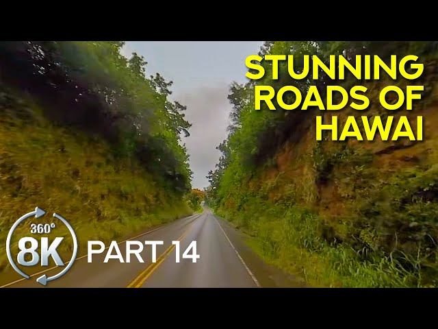 8K Stunning Roads of the Big Island, Hawaii - Virtual 360˚ Scenic Drive on a Tropical Island - #14