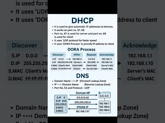 DHCP and DNS Explained | DORA Process | Networking Basics