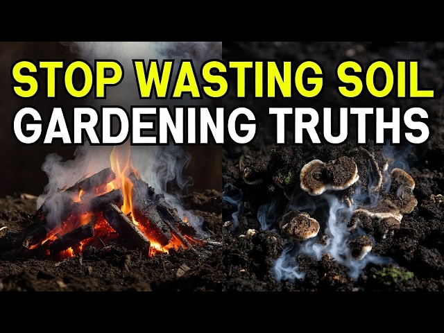 5 Composting Lies That Are Killing Your Garden (Stop Believing Them!)
