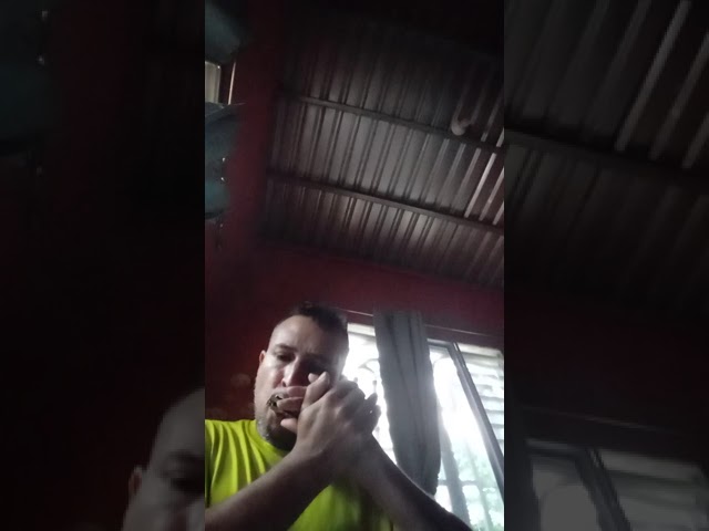 Está Cayendo su gloria sobre mi