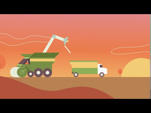 The Life of a Soybean