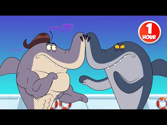 ZIG AND SHARKO | The Big Showdown! (1 Hour Compilation) New episodes | Cartoon Collection for kids