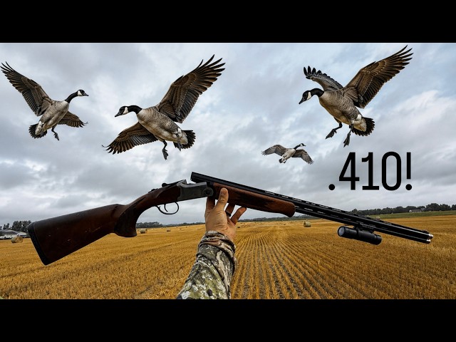 Hunting Early Goose Opener With My .410! (CATCH CLEAN COOK)