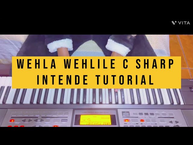 Wehla wehlile C sharp intende tutorial 