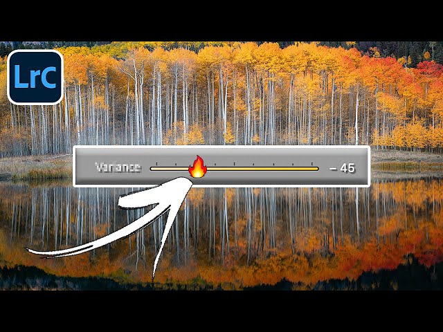Lightroom Just Fixed a Problem We’ve All Ignored