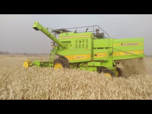Ks 9300 combine harvester| wheat cutting 3rd hight gear check out the speed
