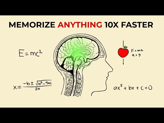 Memorize Anything So Fast It's Almost Unfair