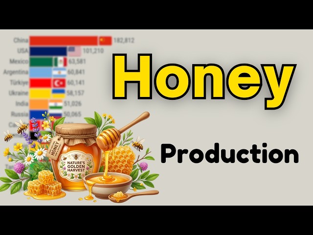 Top 15 Leading Honey Producing Nations 1961–2026