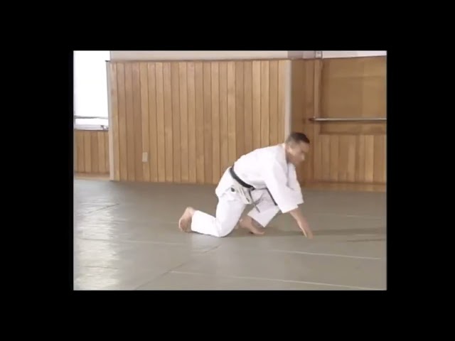 Aikido: Volume 1 – Lesson 14