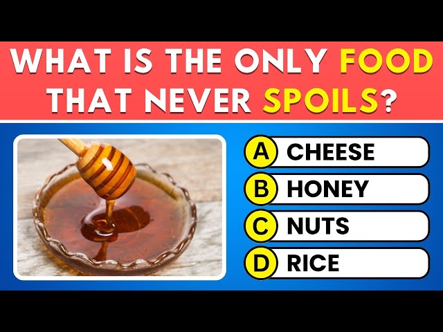50 General Knowledge Questions That Everyone Should Know! ✅ Ultimate Trivia Quiz! 🧠