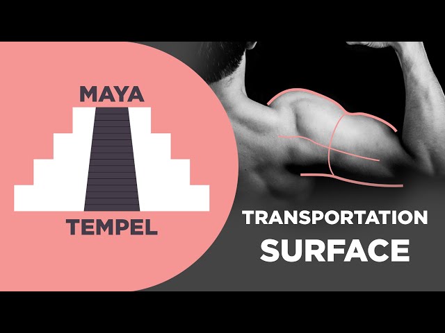 Autodesk Maya - Transportation Fläche - Automotive Surface 01