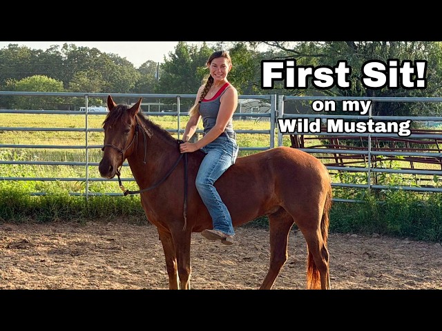 My Favorite... First SIT on my Wild Mustang! | Mustang Magic 2027
