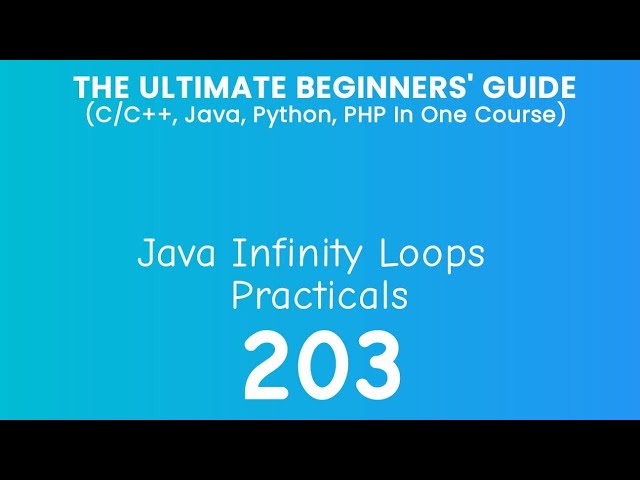 203. Java Infinity Loop Practical
