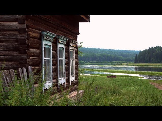Моя скромная жизнь в Тайге. Медведи, глухари, огород. Варенье из Шишек.