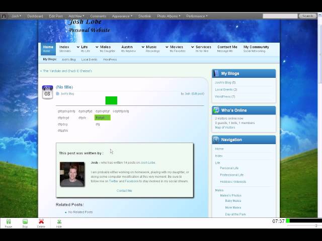 Ultimate Wordpress Visual Editor Upgrade.avi