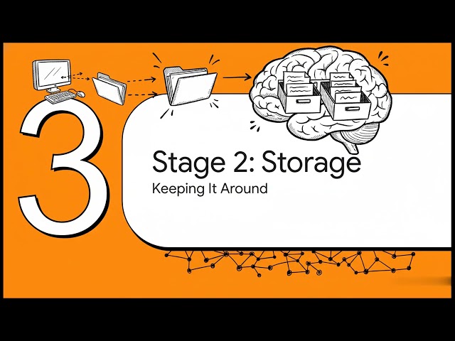 What Is Memory? Encoding, Storage & Retrieval Explained (GCSE Psychology)