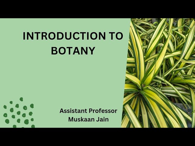Botany: Definition , Scope and Importance