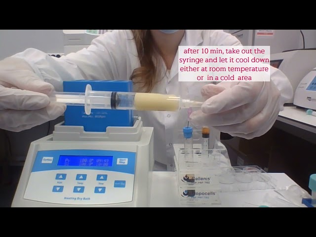 Cellenis DermaFiller demo