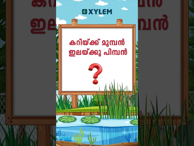 Let's Learn Riddles.. | Xylem Class 2