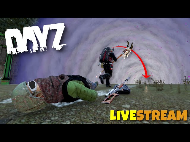 Journey to the Arctic - Deer Isle w/ @happybombs & @lottie | 4k LIVESTREAM