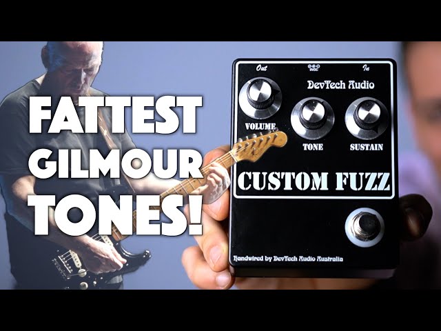 Most Unique Gilmour Tones?! | DevTech Audio Custom Fuzz Review