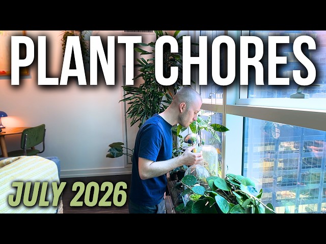 Plant Chores (July 2026) | New Bog Garden, Terrarium Maintenance, Mounting An Elephant Fern