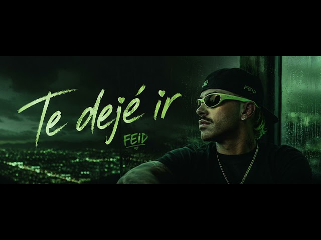 Feid - Te Dejé Ir 