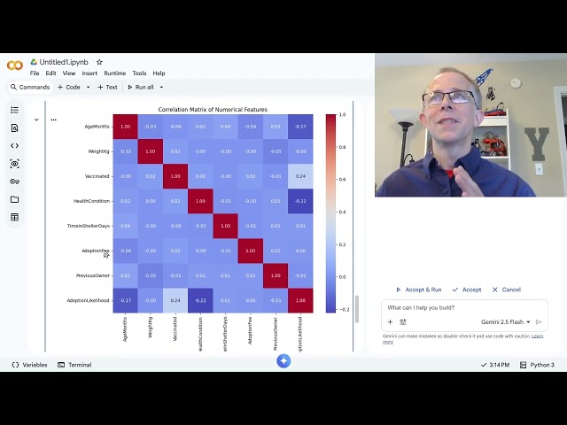 Code Your First ML Model in Python! Google Colab & Logistic Regression | ML with Puppies Part 2