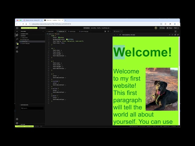 CSS Basics & CodeSandbox.io