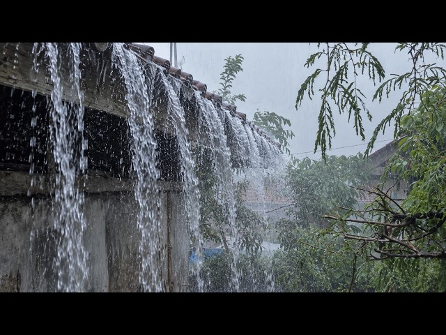 The best cure for tinnitus and insomnia, the sound of heavy rain is perfect for sleep, ASMR