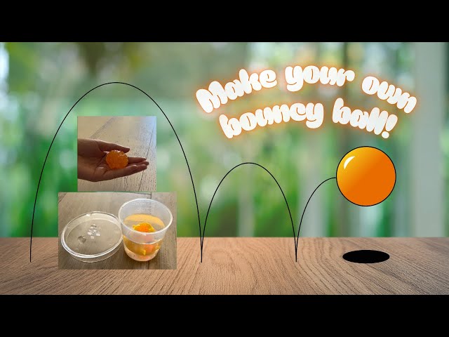 Make your own bouncy ball and learn about the science behind it! 