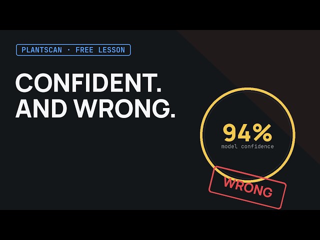 Why an "All Green" Dashboard Can Still Mean a Broken Model