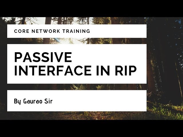Passive interface in RIP V2 (HINDI)