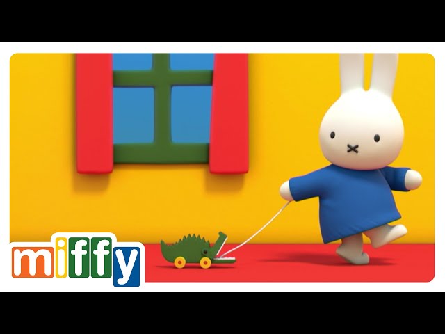 Miffy y el cocodrilo 🐊 | Miffy | Caricaturas Para Bebés