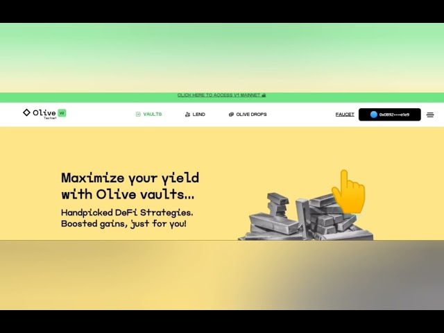 A Complete Guide to Navigate the Olive v2 Testnet. #testnet #finance #defi #earn