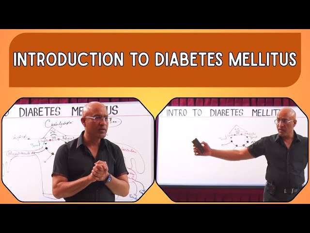Introduction to Diabetes Mellitus Part 1/2💉