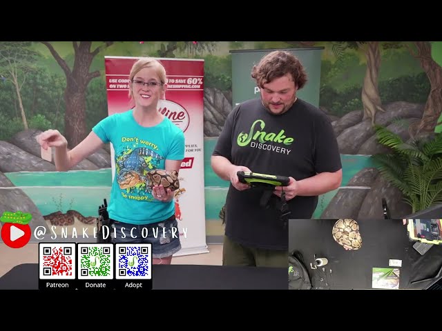 Snake Discovery Adoptathon! July 26, 2026